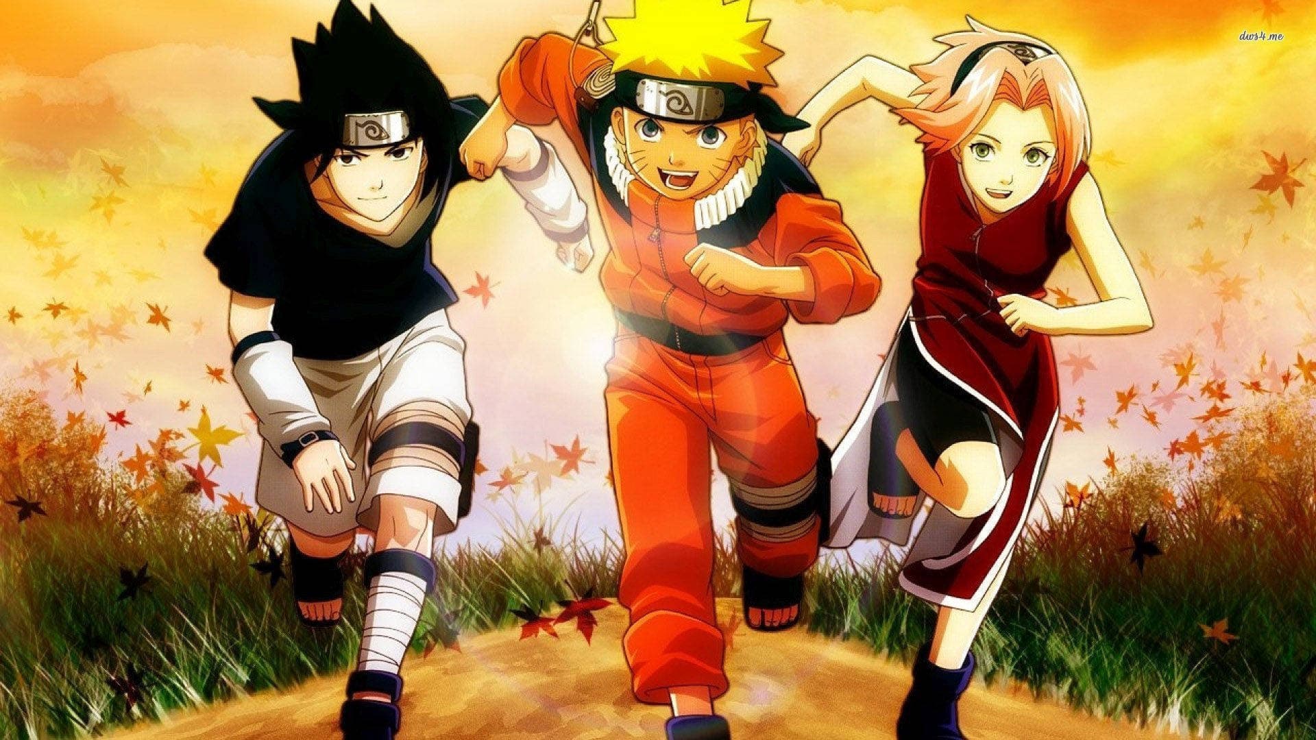 Ver Naruto Sub Español Latino AnimeFLV - Imagen 4