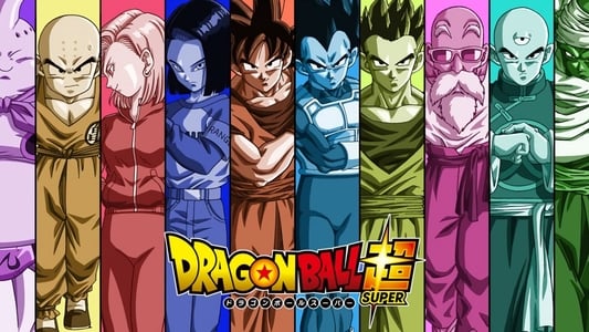 Ver Dragon Ball Super Español Latino Online HD - Imagen 17