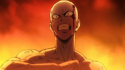 Ver One Punch Man Sub Español Latino - Imagen 14