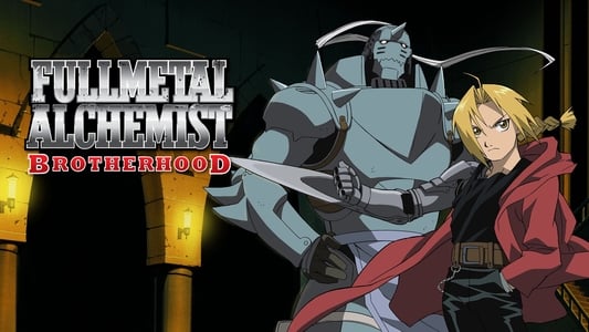 Ver Fullmetal Alchemist: Brotherhood Sub Español Latino - Imagen 9