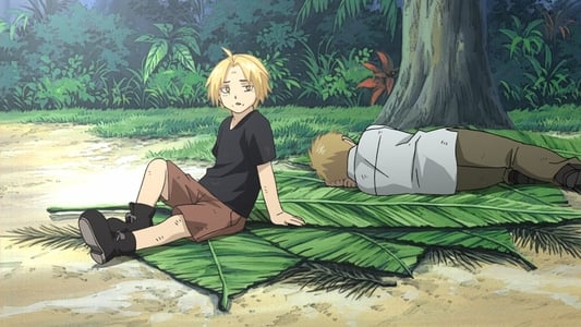 Ver Fullmetal Alchemist: Brotherhood Sub Español Latino - Imagen 11