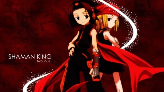 Ver Shaman King Latino Online HD - Imagen 5