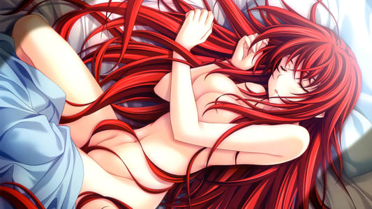 Ver High School DxD Sub Español - Imagen 19